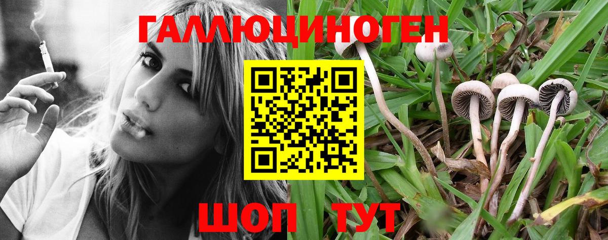 Черняховск  Галлюциногенные грибы GOLDEN TEACHER  Вход с VPN 