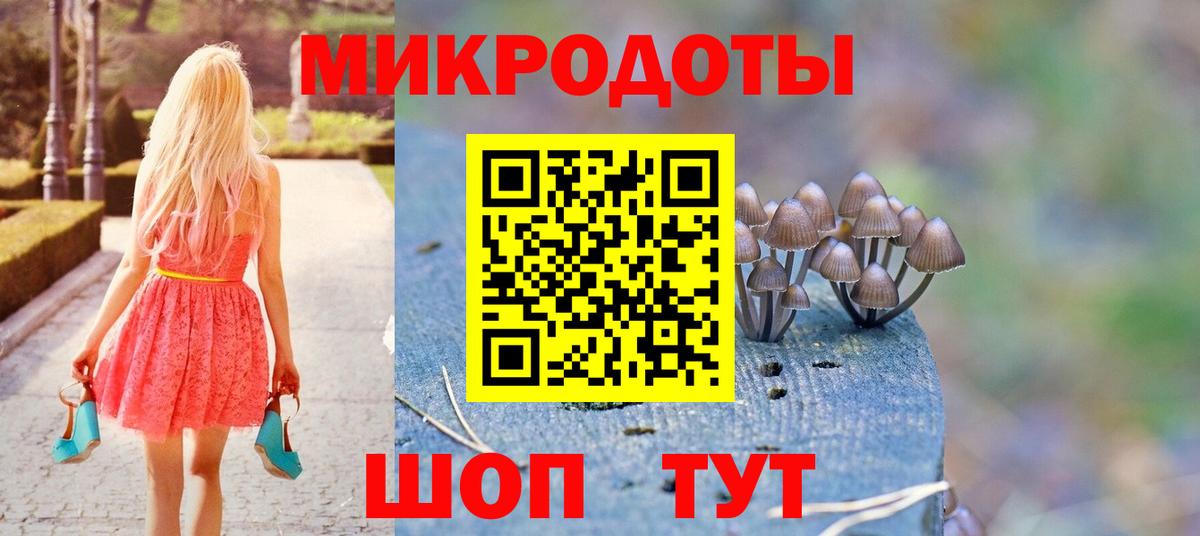 Псилоцибиновые грибы GOLDEN TEACHER Черняховск